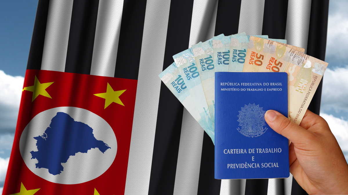 Pessoa segura carteira de trabalho e notas de reais com bandeira do estado de São Paulo ao fundo - Divulgação