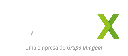 Codex 2022 - Codex