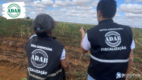 Concurso da ADAB: servidores da Agência Estadual de Defesa Agropecuária da Bahia de costas - Divulgação