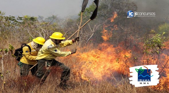 Processo seletivo do Ibama: brigadistas combatendo incêndio - Divulgação