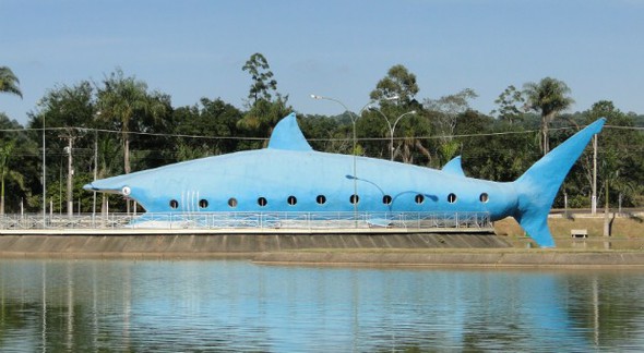 Concurso Prefeitura de Buri SP - foto do tubarão - Divulgação