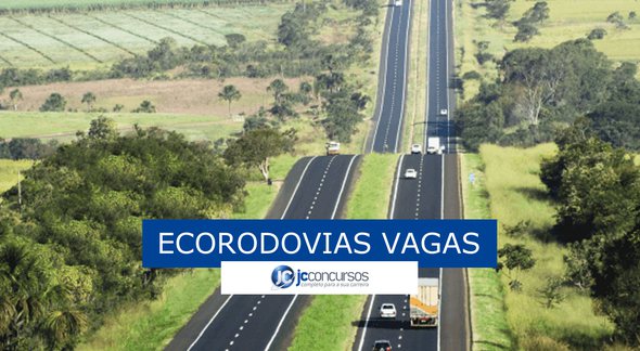 Ecorodovias trainee - Divulgação