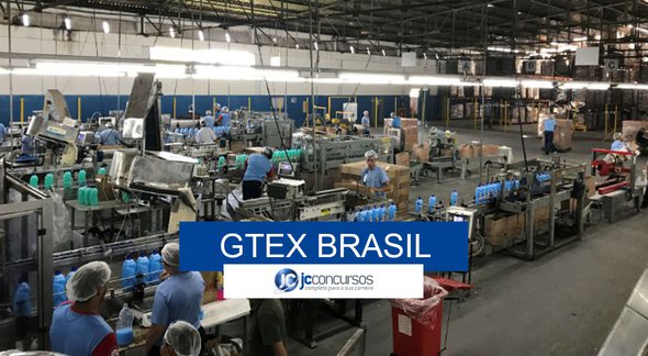 Gtex Brasil - Divulgação