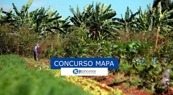 Concurso MAPA: plantação de orgânico - Divulgação