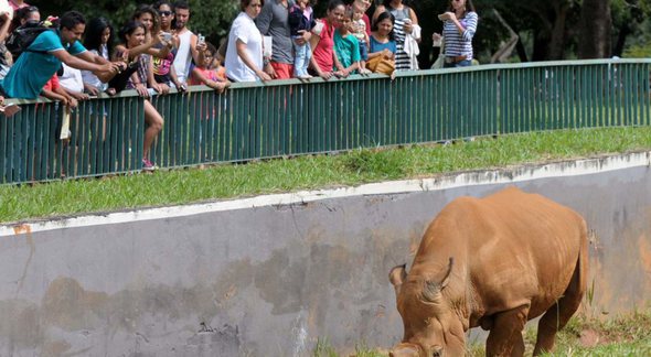 Concurso Zoológico DF: animal no zoológico - Nilson Carvalho / Agência Brasília