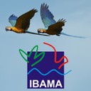 Ibama 2019 Temporários - IBAMA