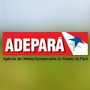 ADEPARÁ - ADEPARÁ (PA)