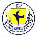 Prefeitura de Gurinhatã (MG) 2024 - Prefeitura Gurinhatã