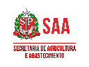 SAA SP 2019 Pesquisador - SAA SP