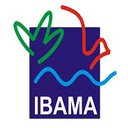 Ibama 2020 Temporários - Ibama